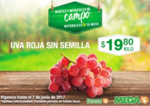 Comercial Mexicana Ofertas Martes y Miércoles del Campo Junio 6